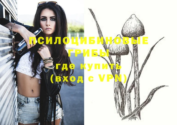 a pvp Верхний Тагил